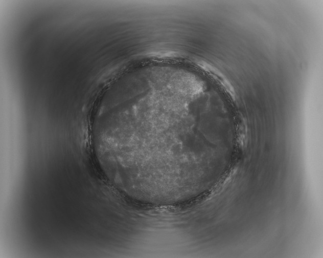 X0000101450966200807280936