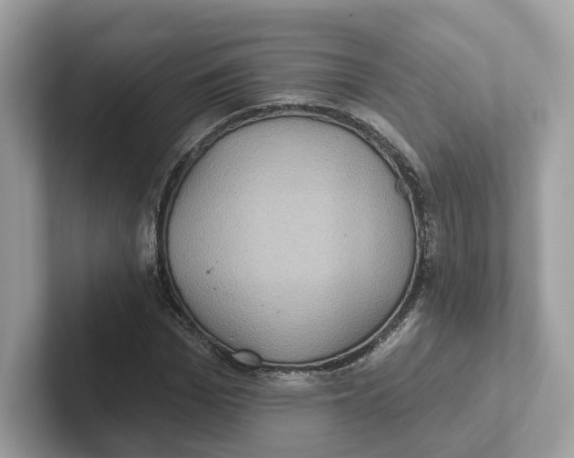 X0000101450969200807280936