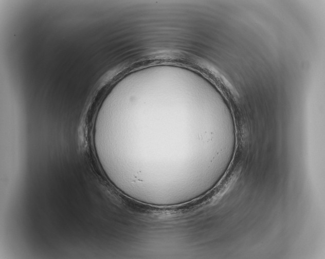 X0000101450970200807280936