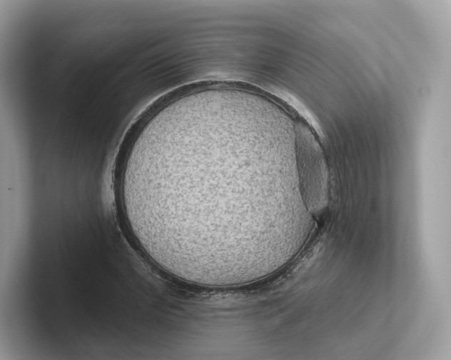 X0000101450972200807280936