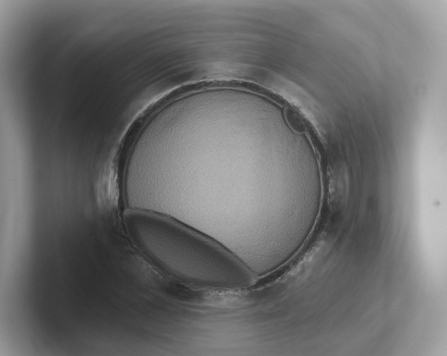 X0000101450973200807280936