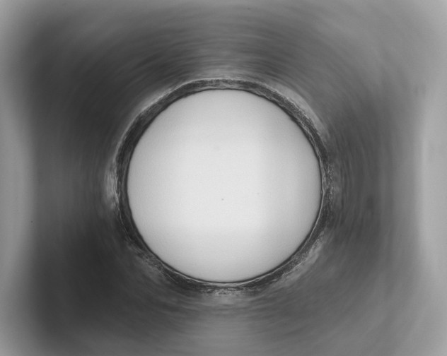 X0000101450974200807280936