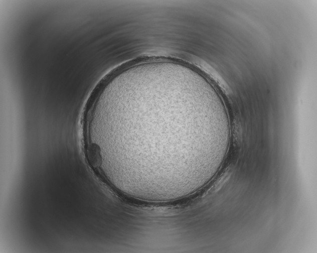 X0000101450976200807280936