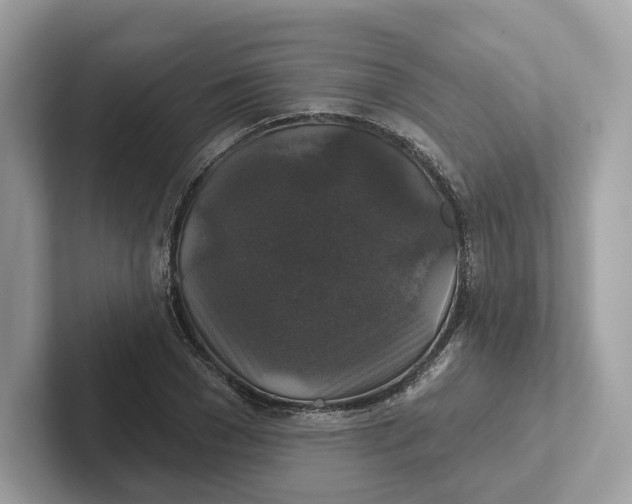 X0000101450977200807280936