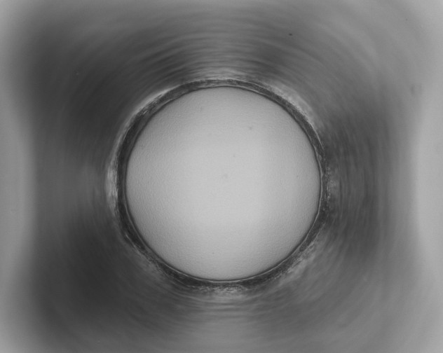 X0000101450979200807280936