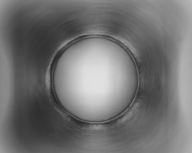 X0000101450982200807280936