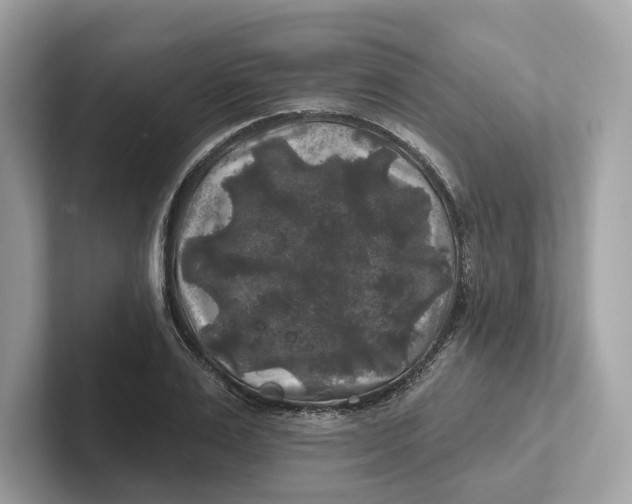 X0000101450983200807280936