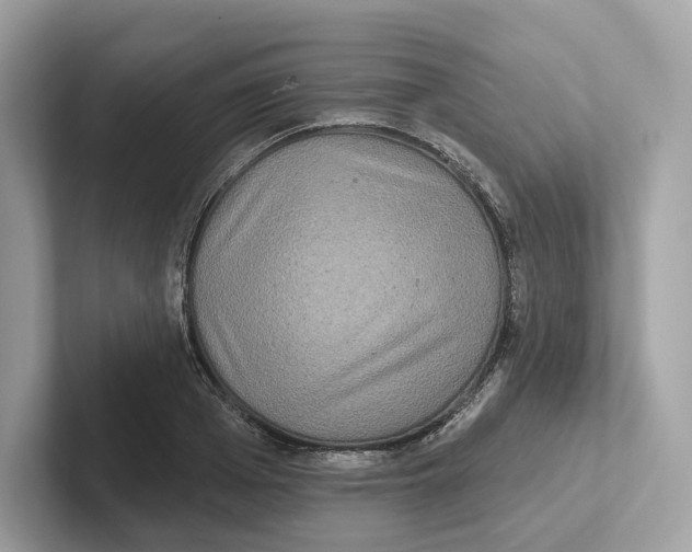 X0000101450985200807280936