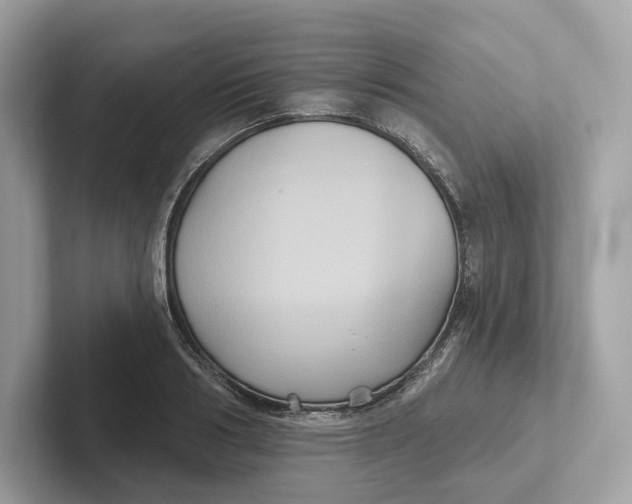 X0000101450986200807280936