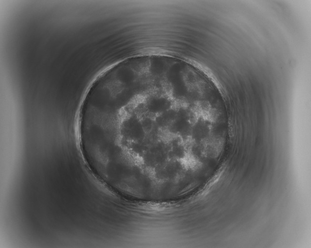 X0000101450987200807280936