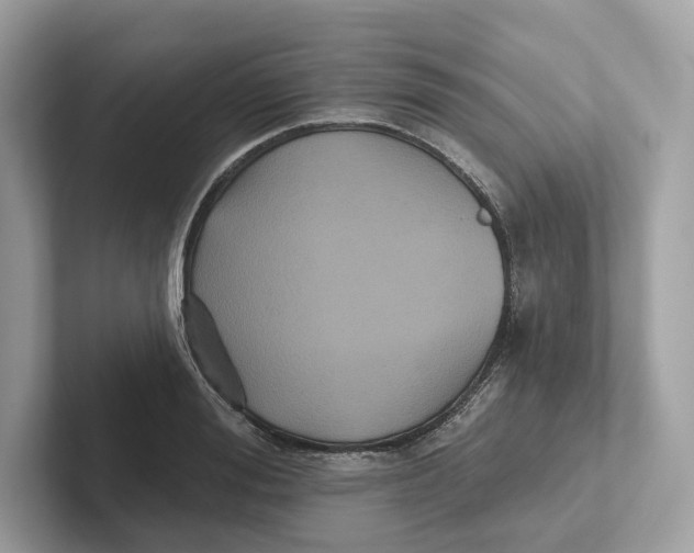 X0000101450988200807280936