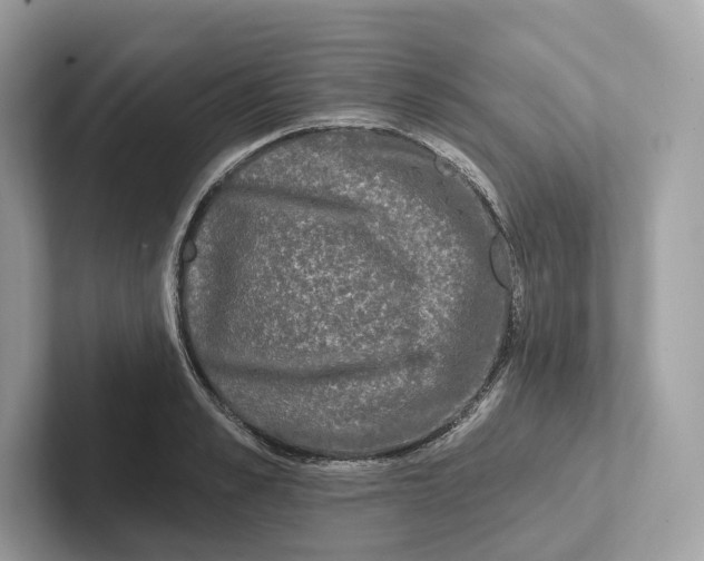 X0000101450989200807280936