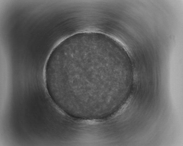 X0000101450990200807280936