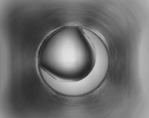 X0000101450992200807280936