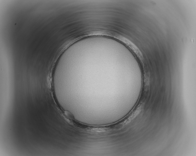 X0000101450993200807280936