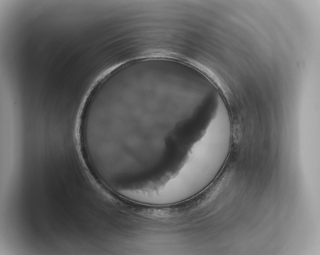 X0000101450995200807280936