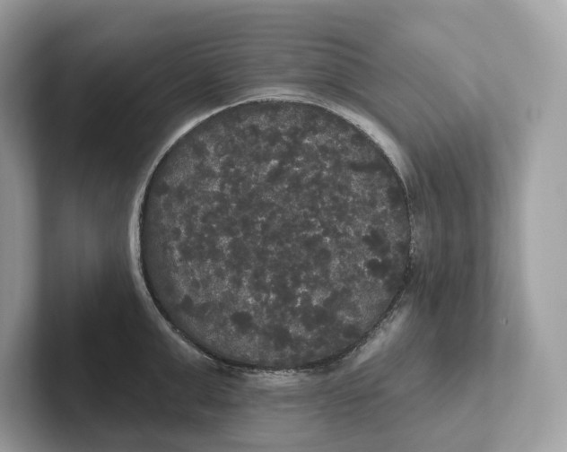 X0000101450999200807280936