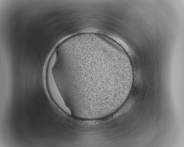 X0000101451000200807280936