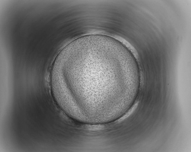 X0000101451001200807280936