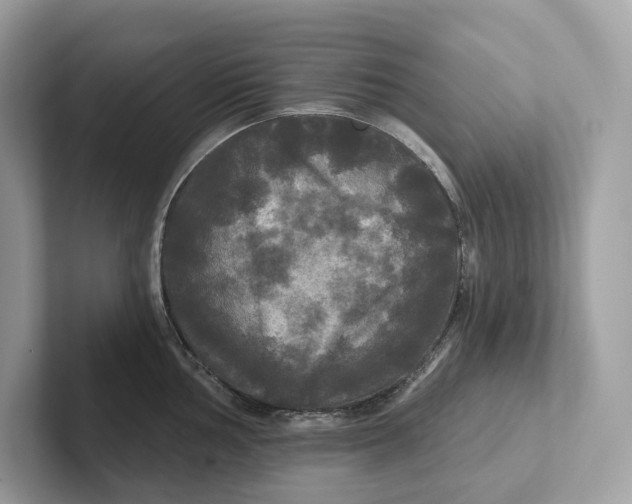 X0000101451002200807280935