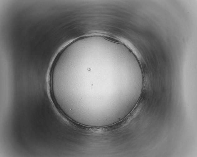 X0000101451003200807280935