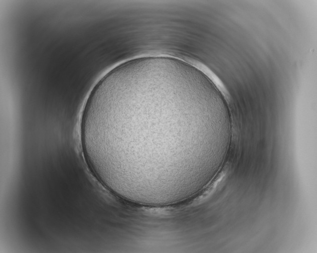 X0000101451004200807280935