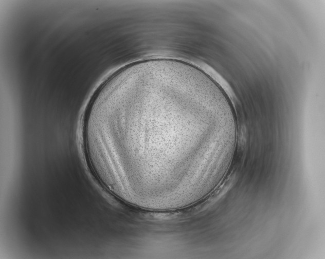 X0000101451005200807280935