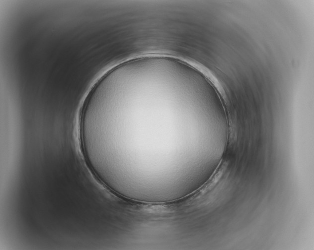 X0000101451006200807280935