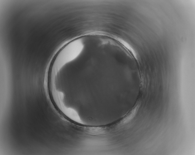 X0000101451007200807280935