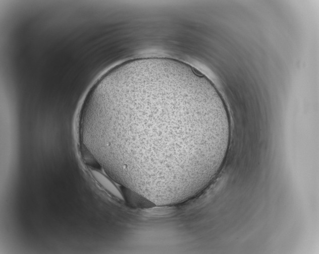 X0000101451008200807280935