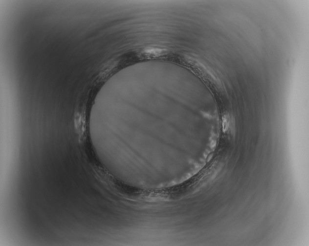 X0000101451011200807280935