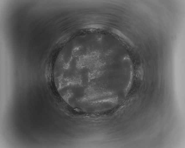 X0000101451014200807280935