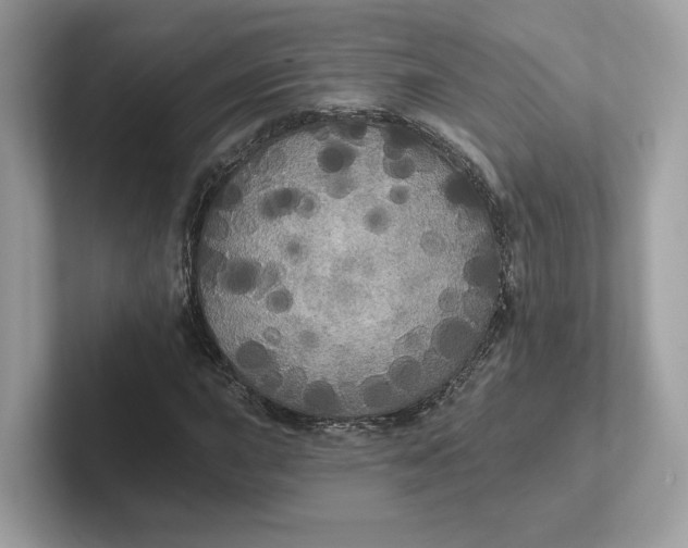 X0000101451015200807280935