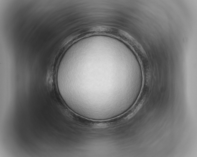 X0000101451017200807280935