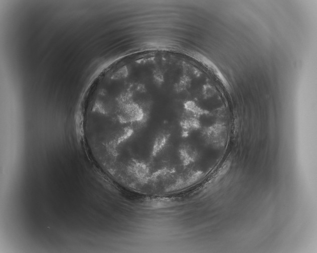 X0000101451019200807280935