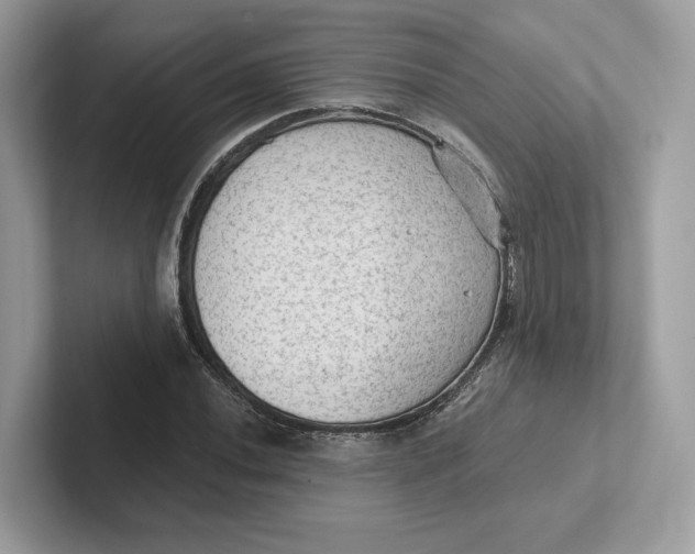 X0000101451020200807280935