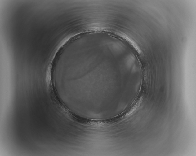 X0000101451023200807280935