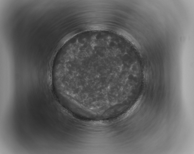 X0000101451025200807280935