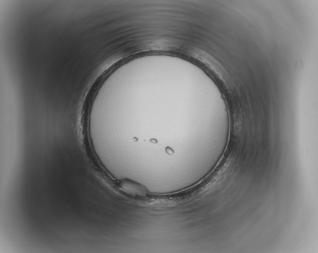 X0000101451026200807280935