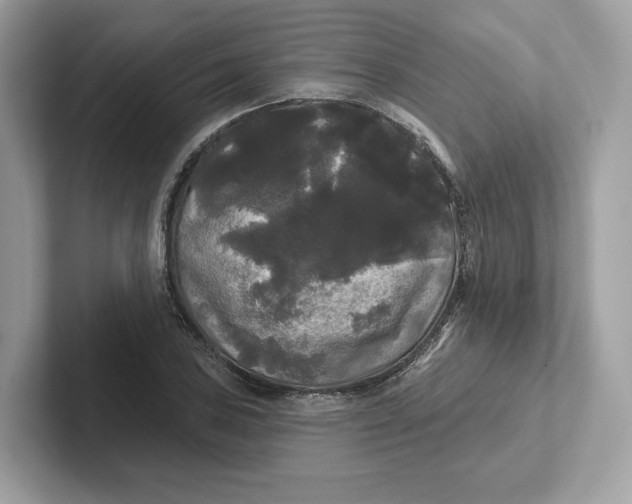 X0000101451027200807280935