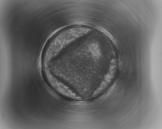 X0000101451028200807280935