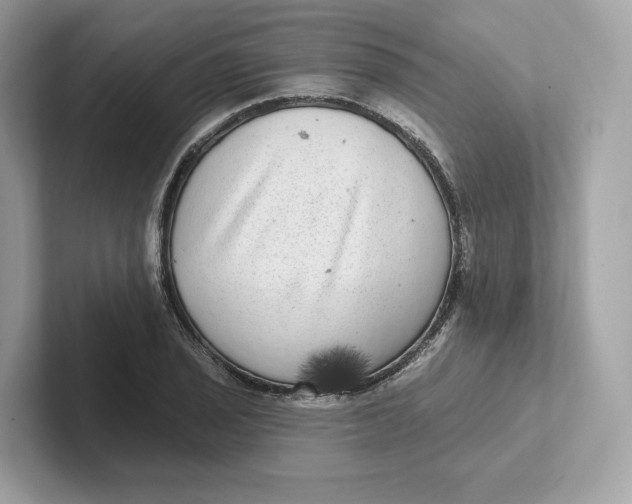 X0000101451029200807280935