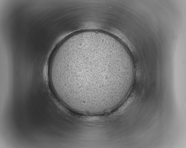 X0000101451030200807280935