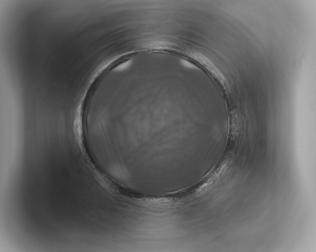 X0000101451031200807280935