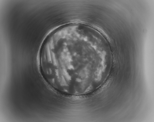 X0000101451032200807280935