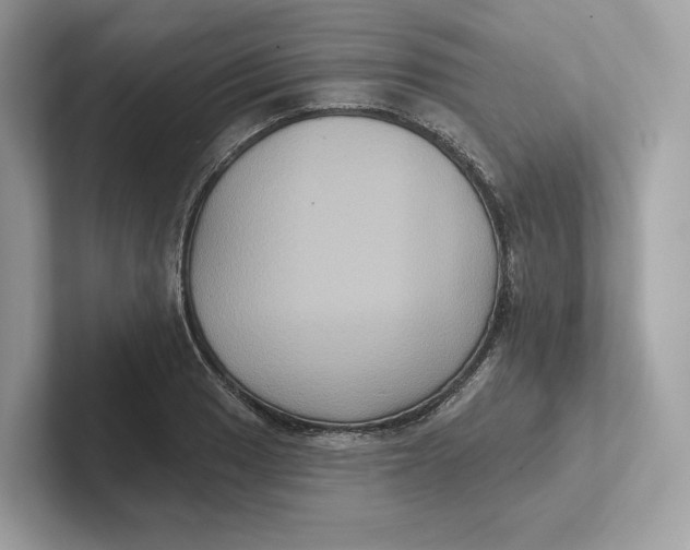 X0000101451033200807280935