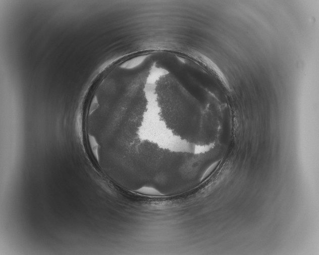 X0000101451035200807280935