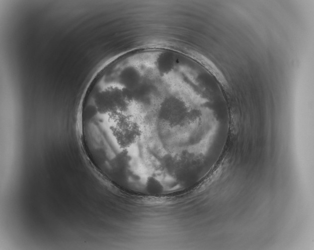 X0000101451036200807280935