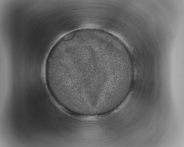 X0000101451038200807280935