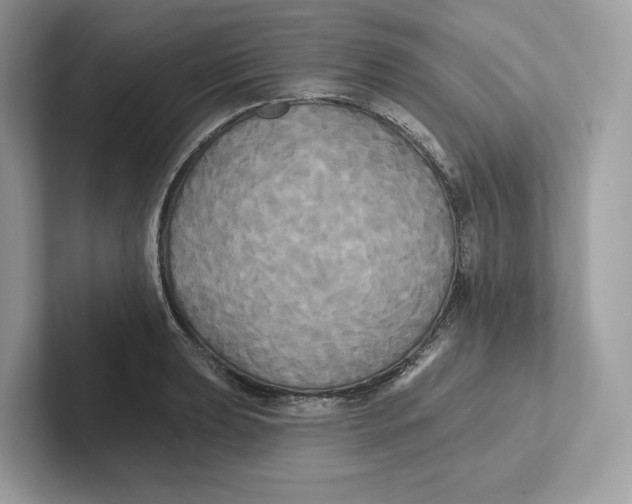 X0000101451039200807280935